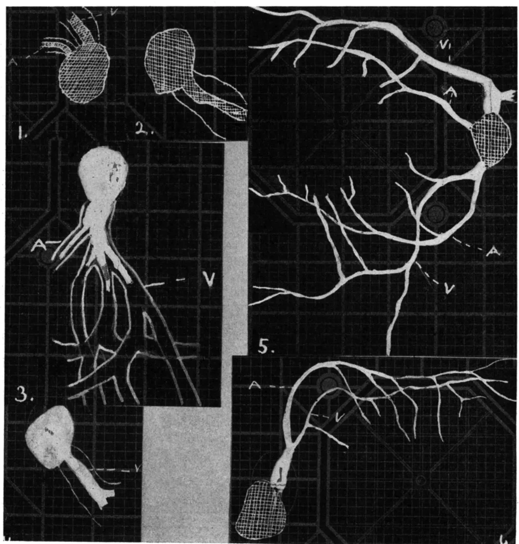 Unité de Réfraction Clinic
