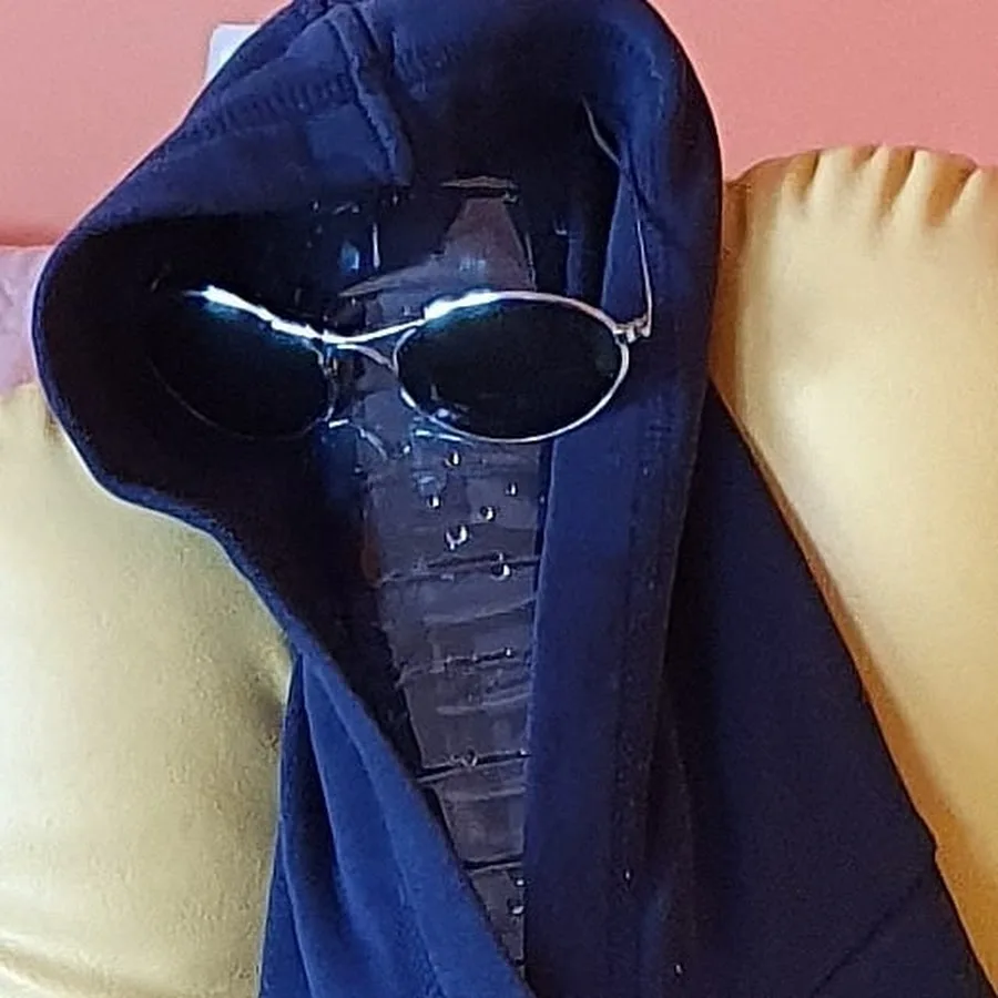 Solaire Wayfarer Classique