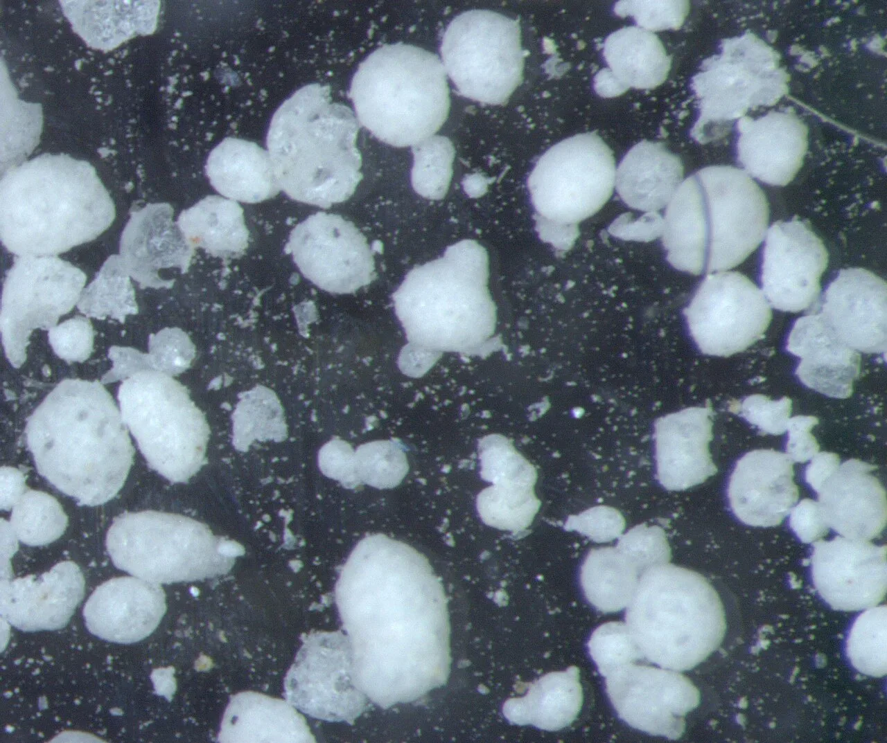 Monture Seule Hexagonale — Métal